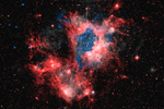 NGC 1929 Star Cluster